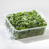 Polypropylenfolien Anwendungen Salat